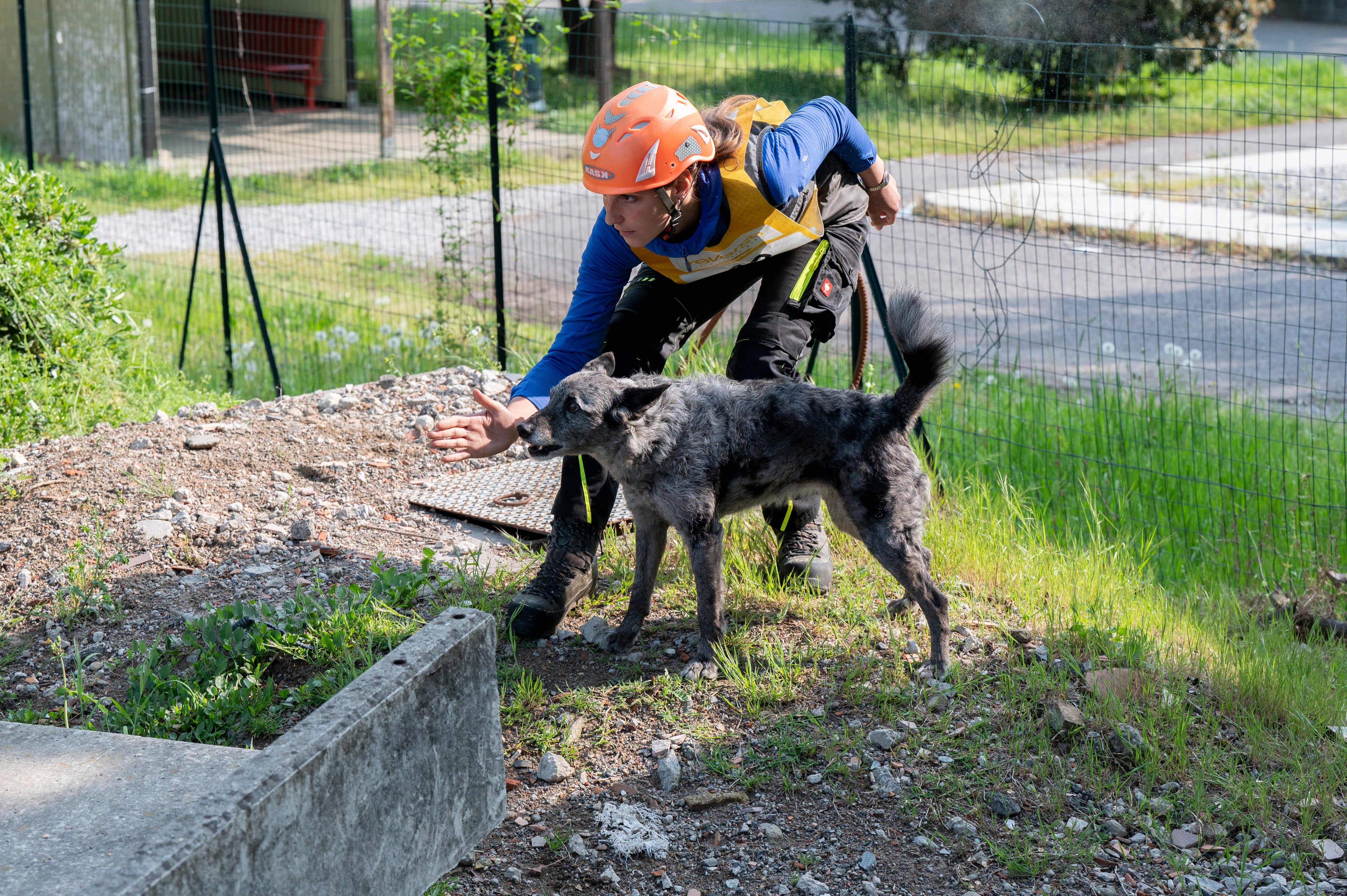 corso di ricerca persone in superficie boschiva