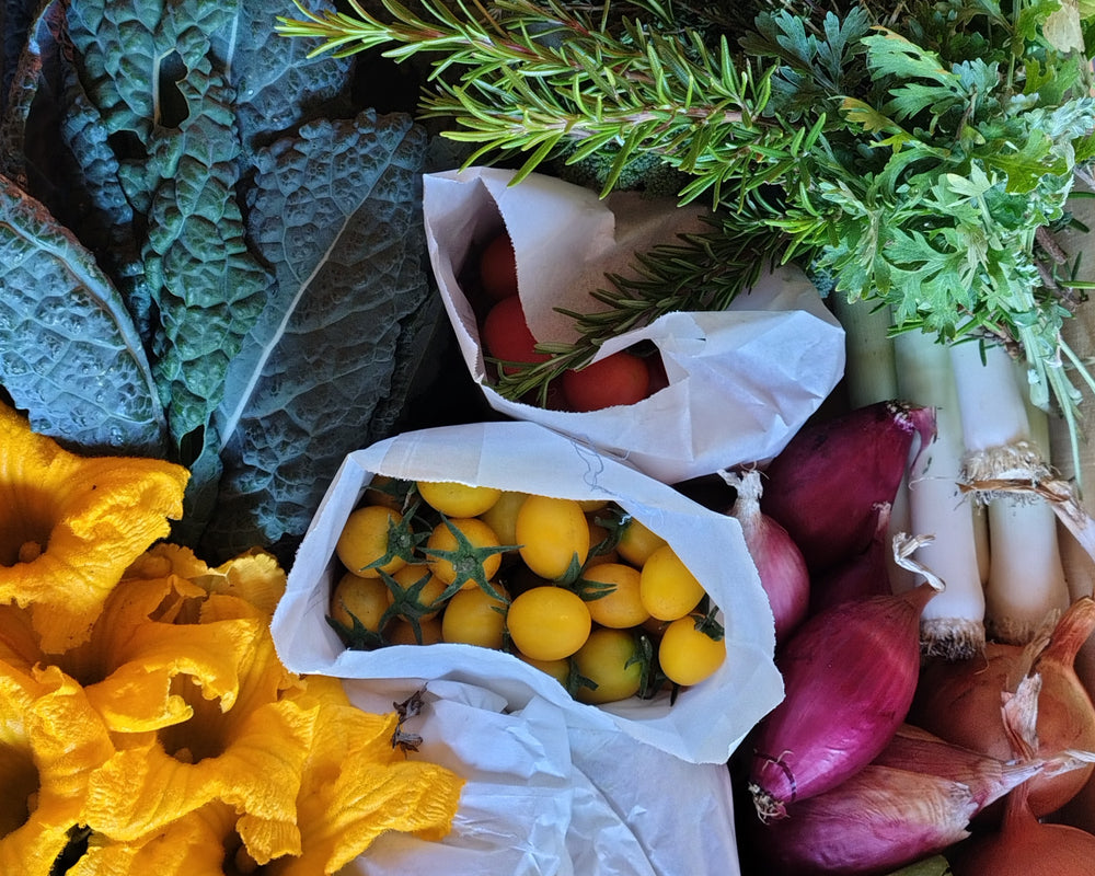 Corso orto: dal seme alla raccolta