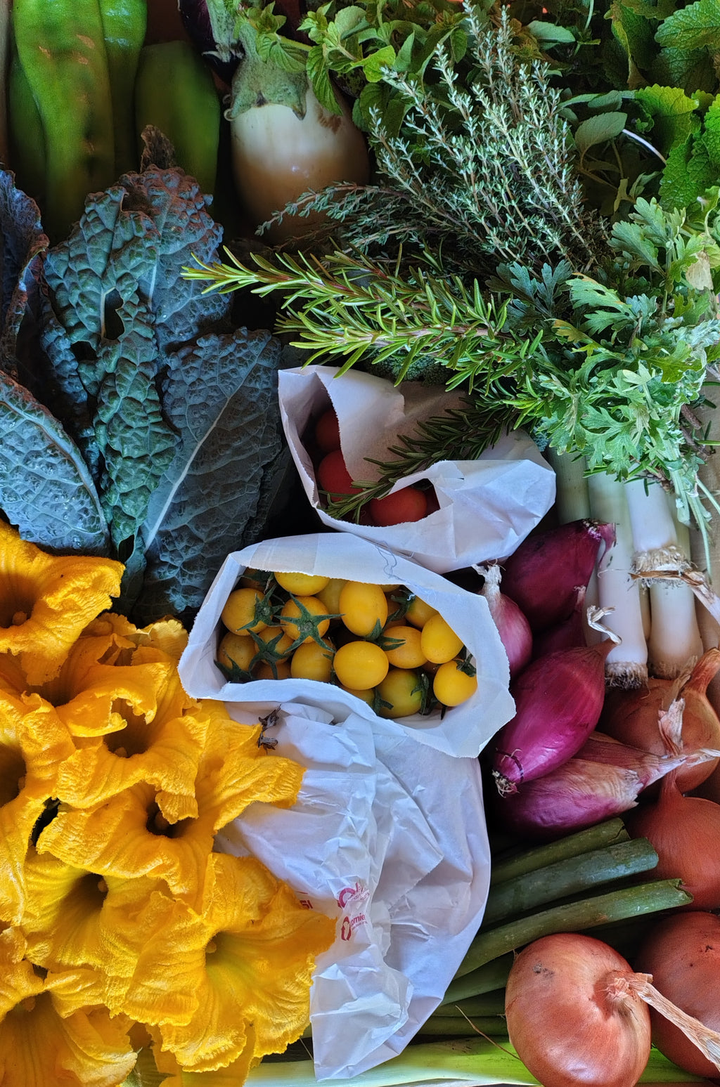 Corso orto: dal seme alla raccolta