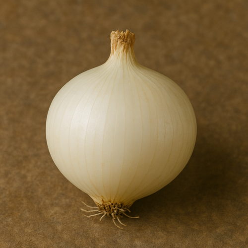 Cipolle Bianche 1 kg