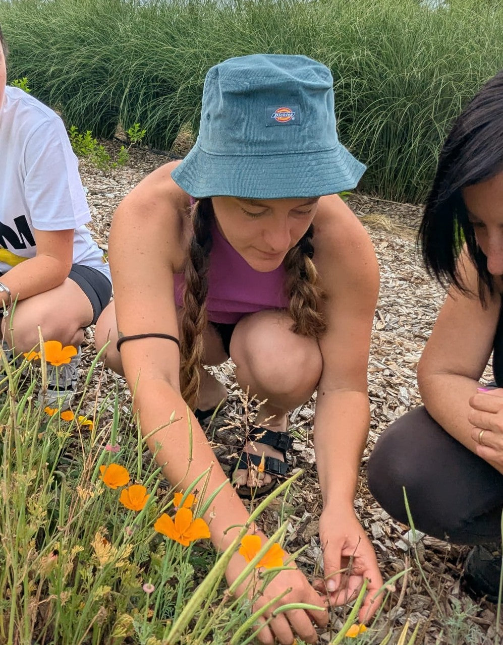 Corso base: erbe aromatiche e officinali