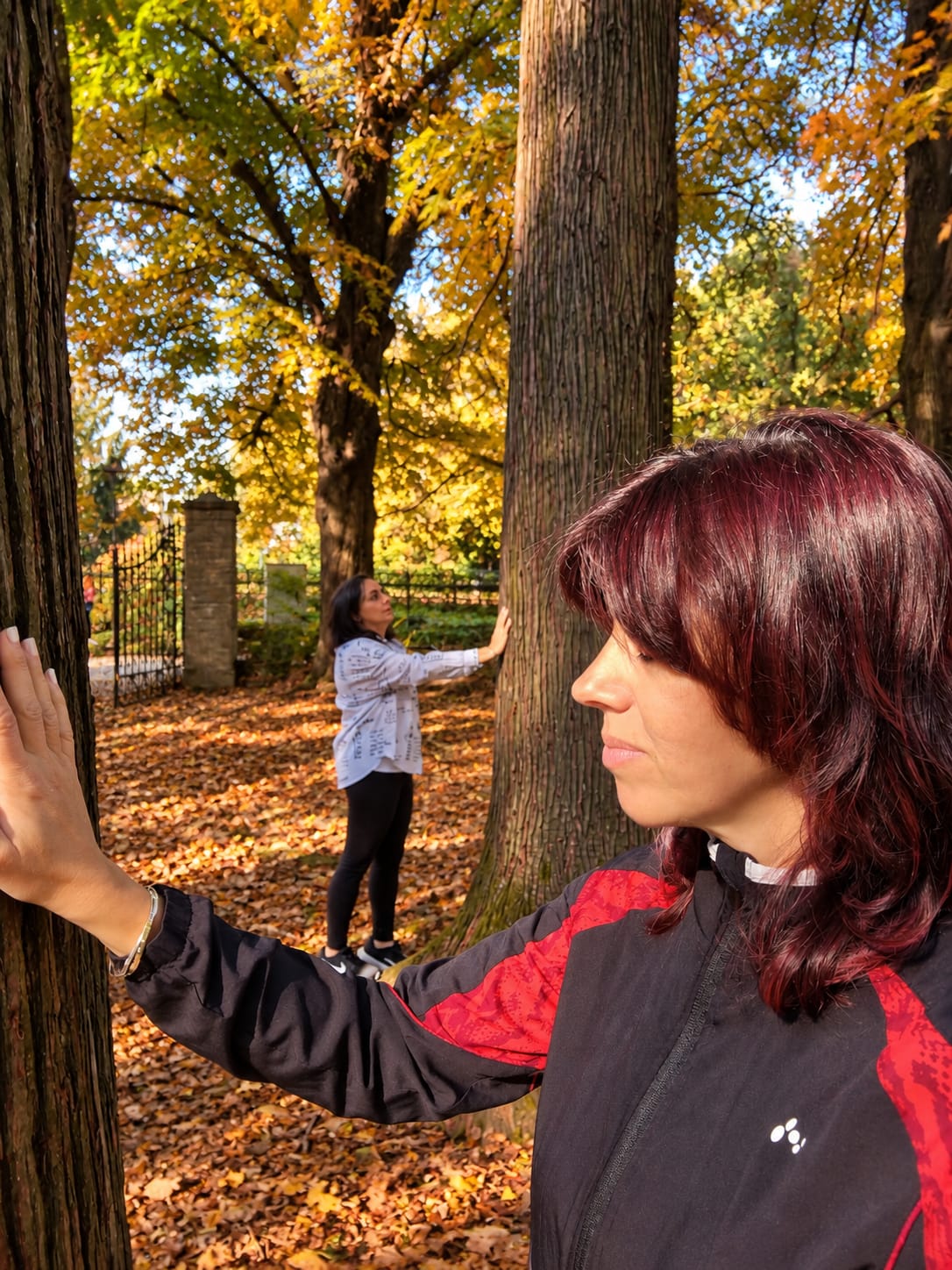 Il Cammino degli Alberi