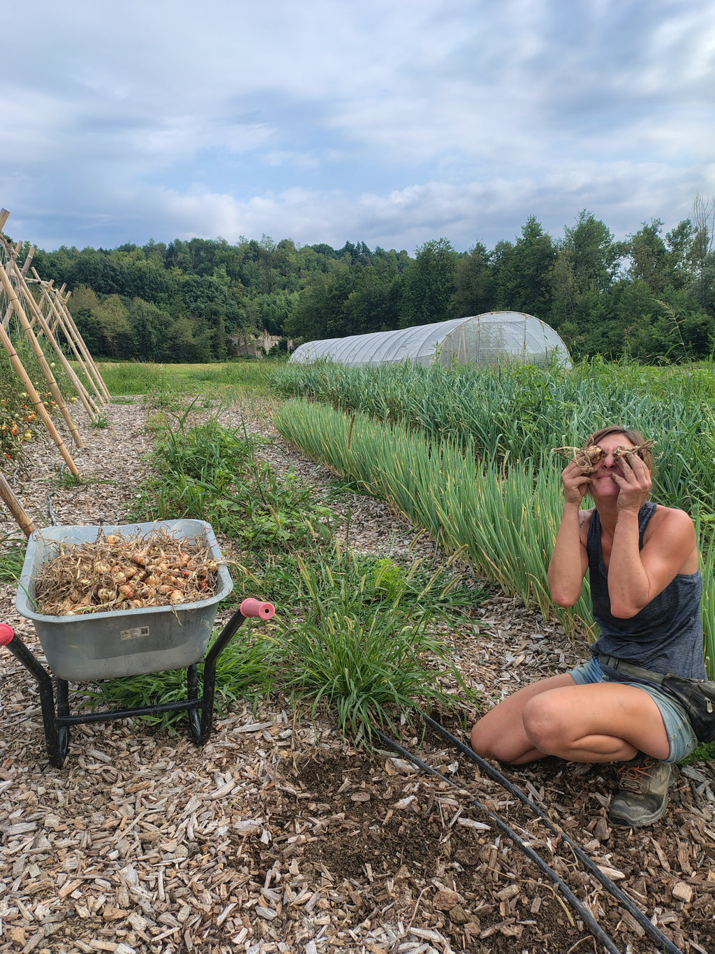 Corso orto: dal seme alla raccolta