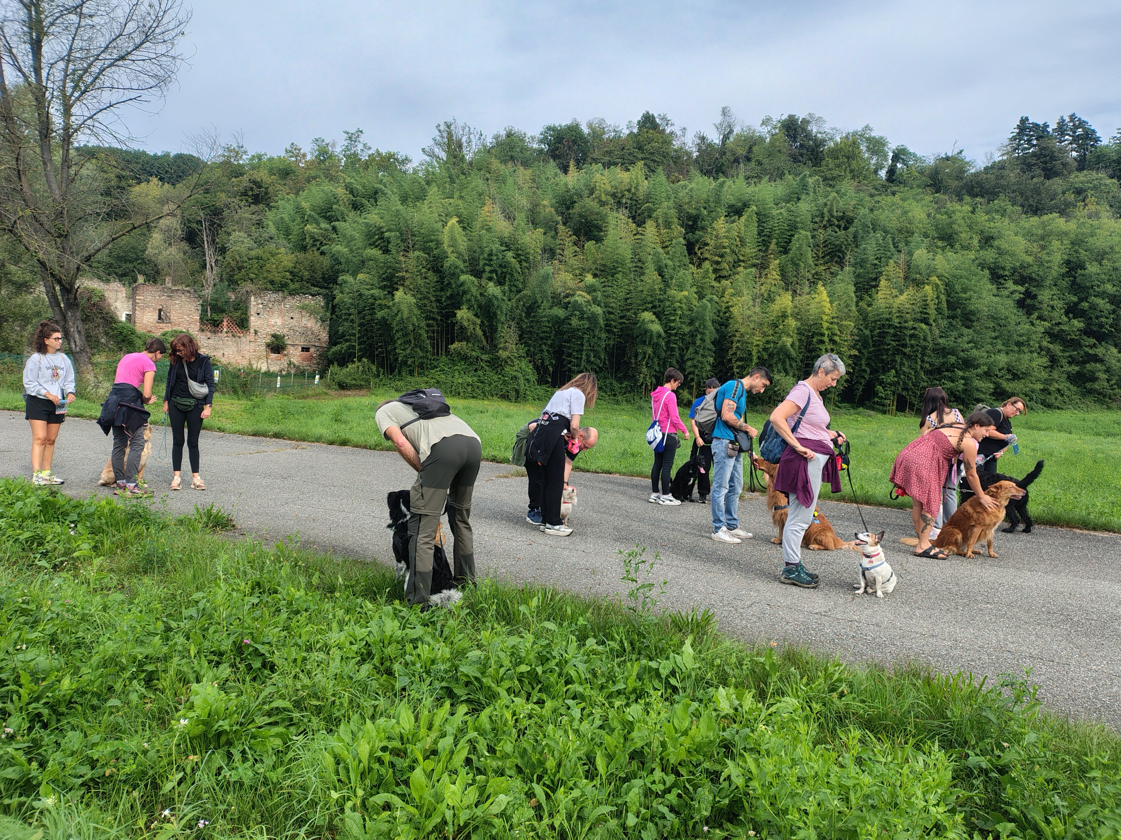 Passeggiata cinofila