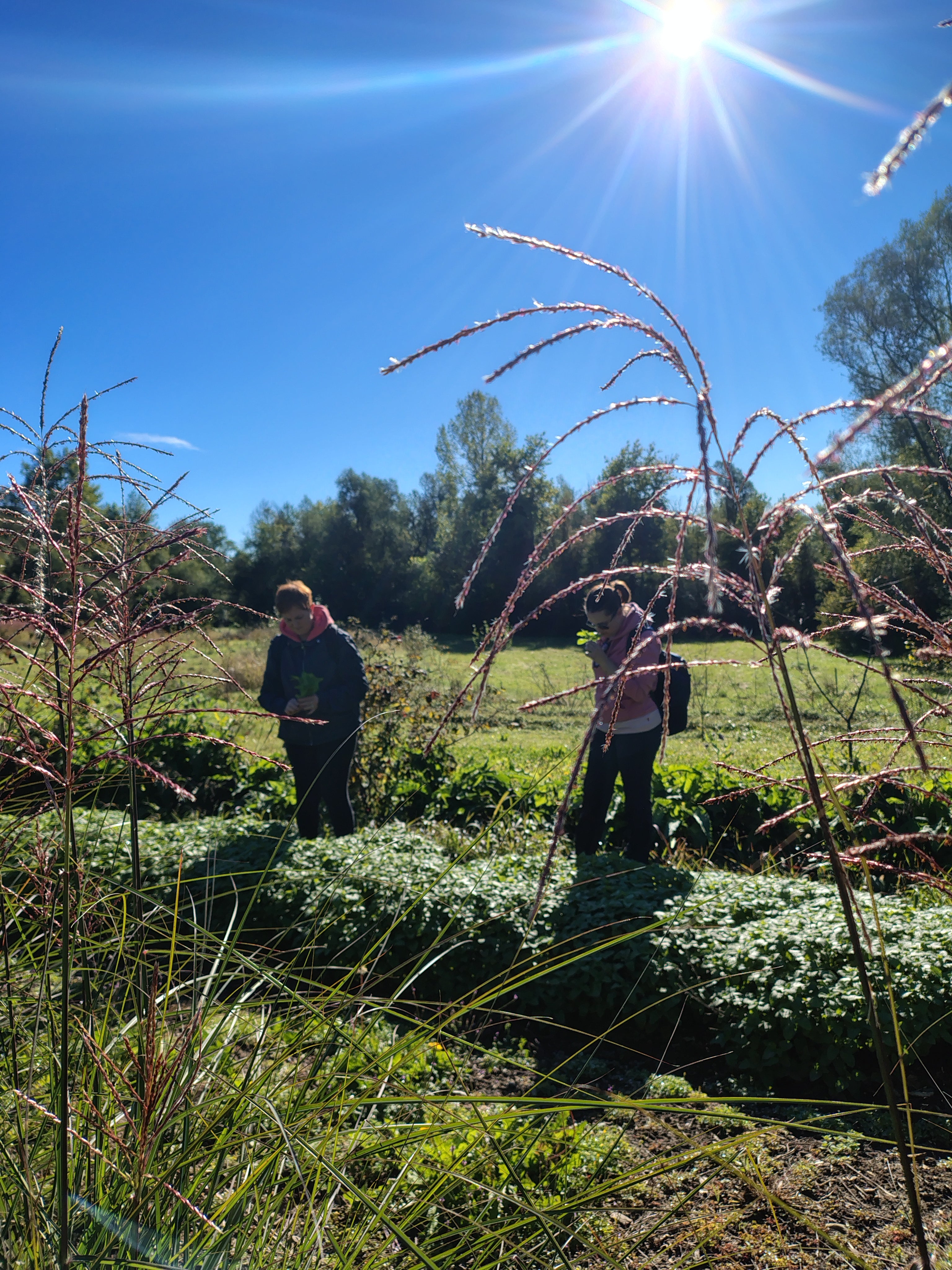Corso: rituali delle stagioni