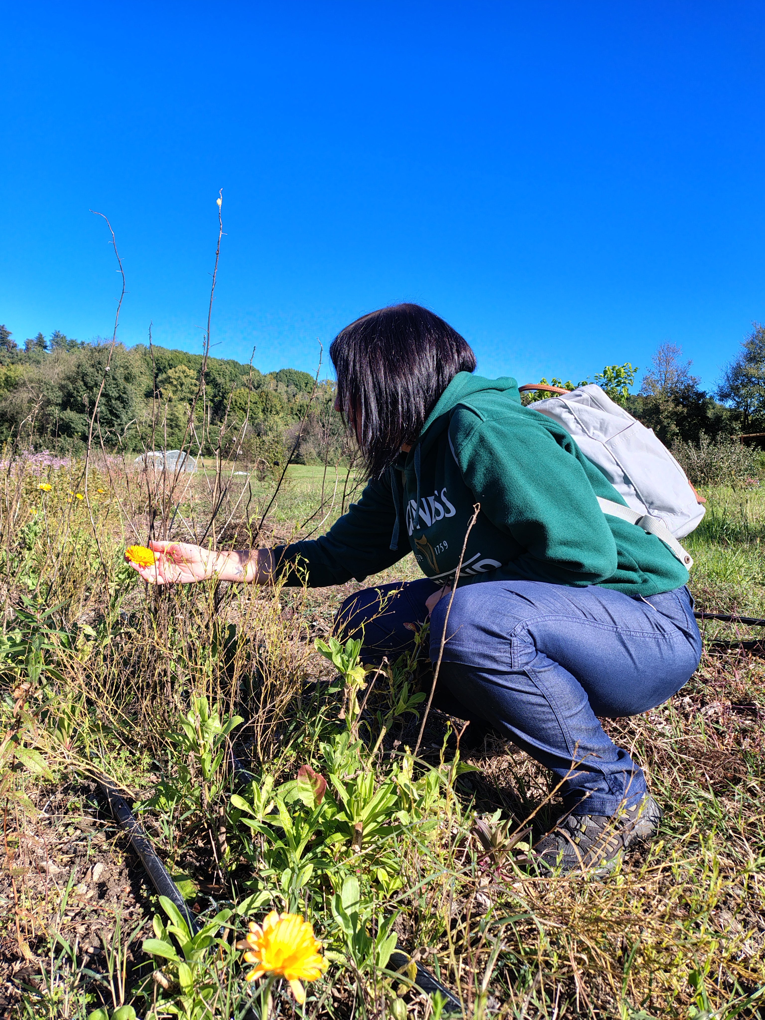 Corso: rituali delle stagioni