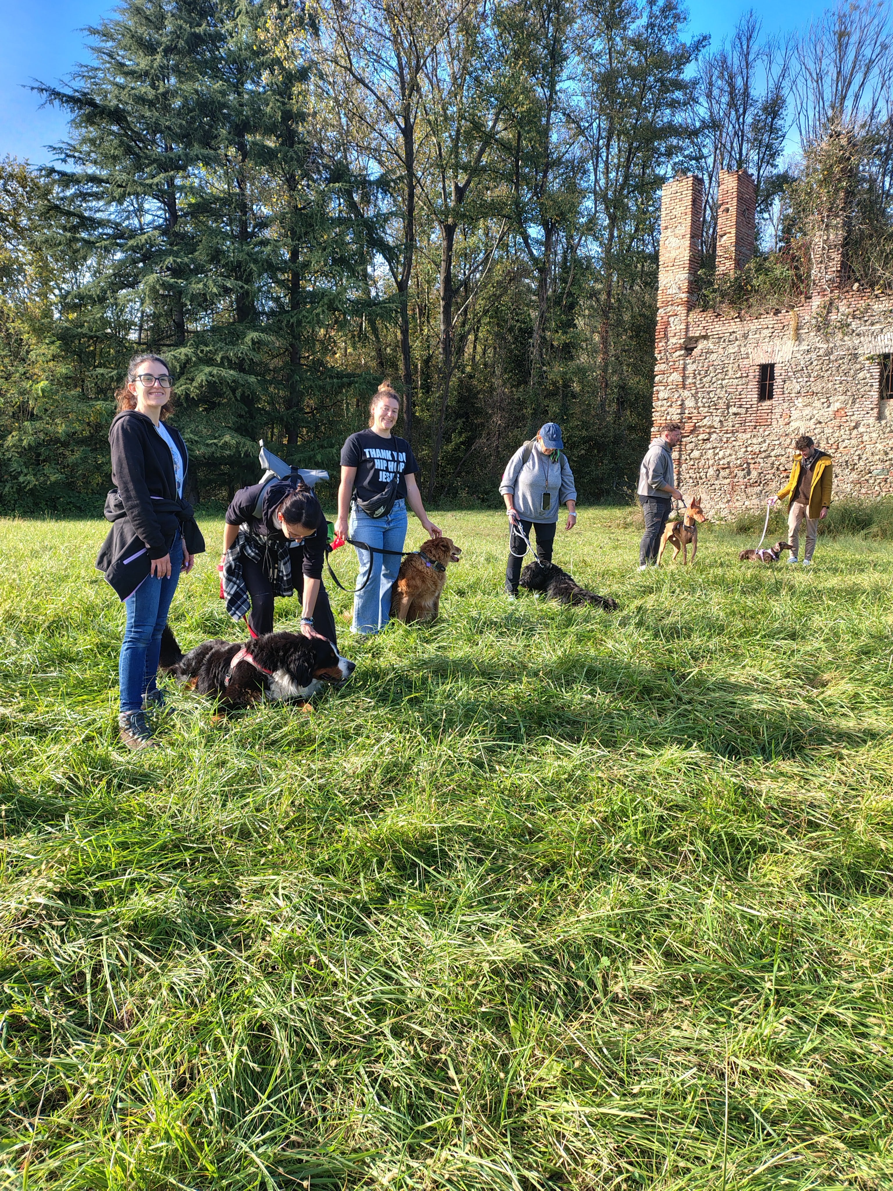Passeggiata cinofila