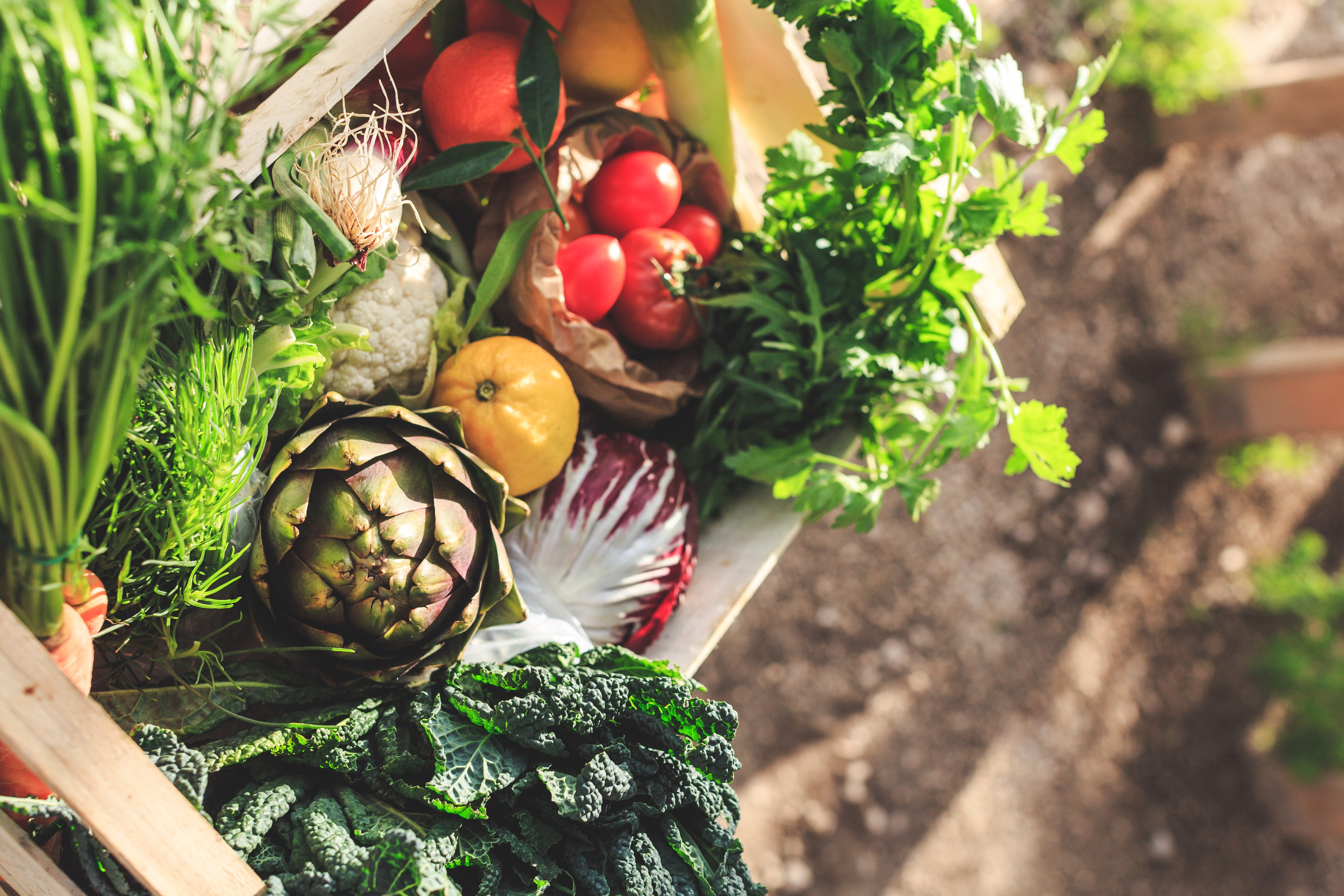 Corso: storie che Nascono sotto Terra
