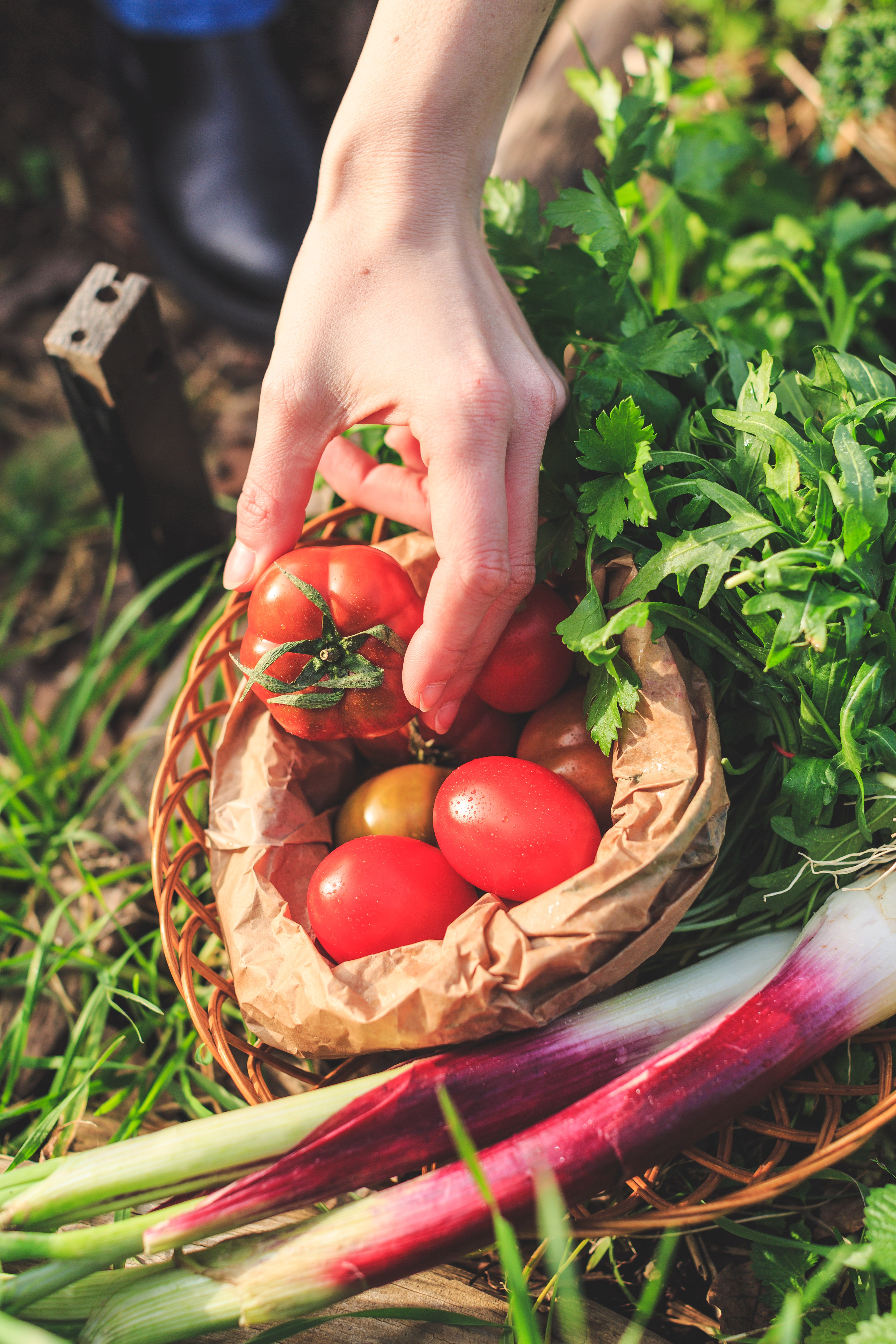 Corso: i sensi della terra