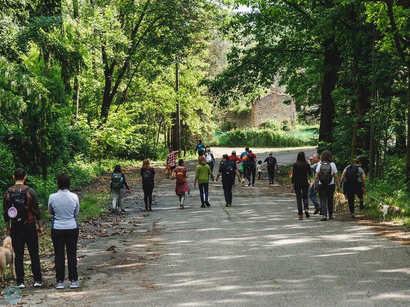 Passeggiata cinofila