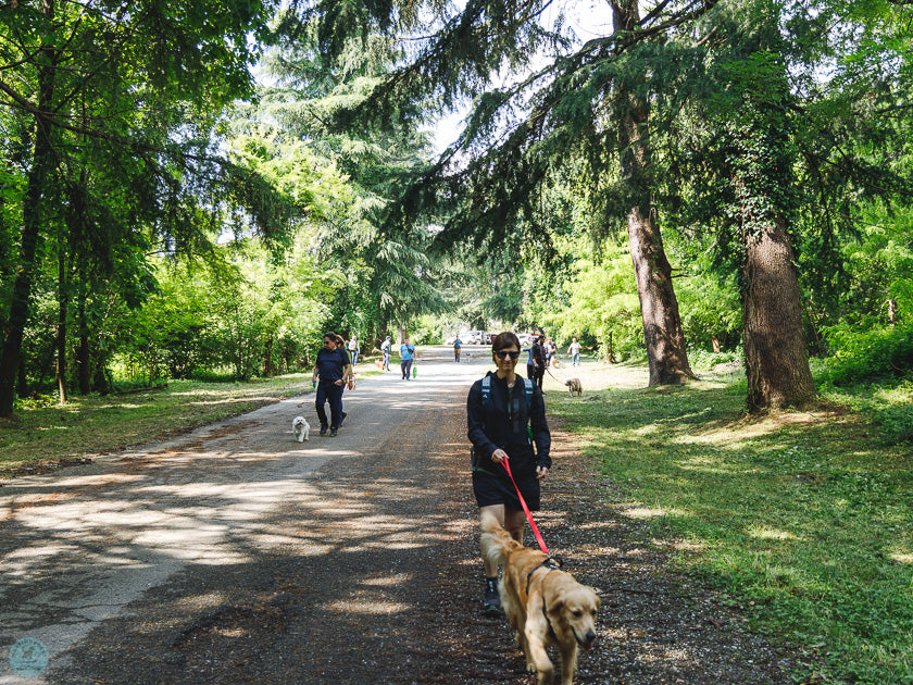 Passeggiata cinofila