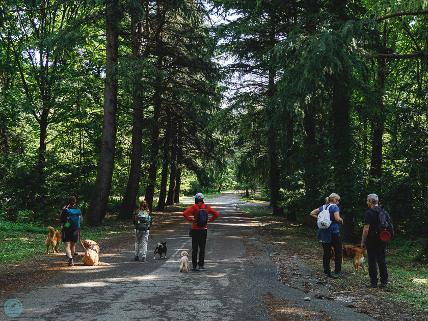 Passeggiata cinofila