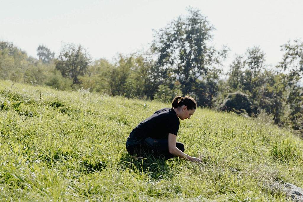 Corso introduttivo al foraging