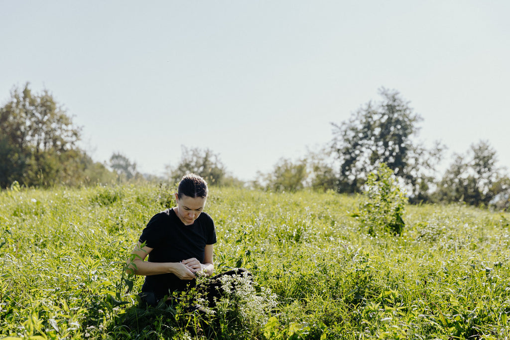 Corso introduttivo al foraging