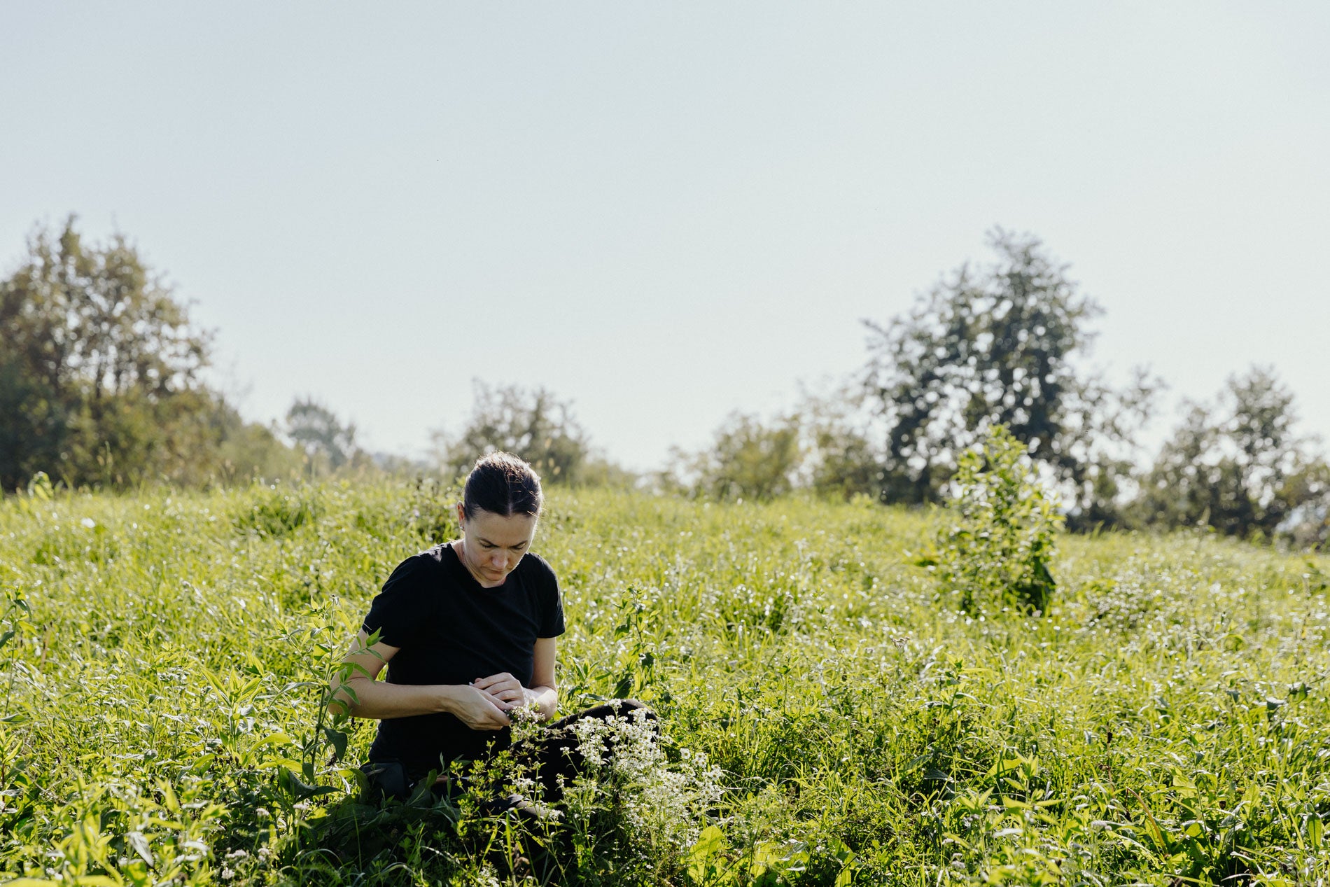 Corso introduttivo al foraging